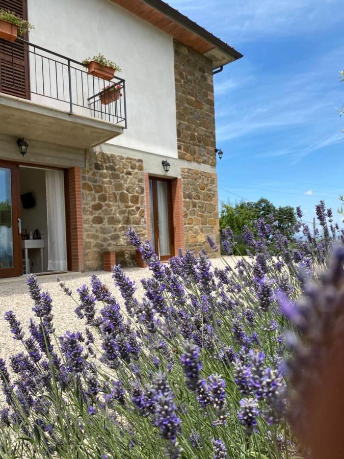 Podere Belsogno-Camera Lavanda Montalcino Kültér fotó